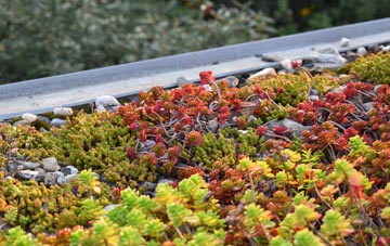 the cost of Up Cerne green roof installation