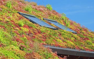 Up Cerne living roof systems