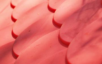 Up Cerne plastic roof costs