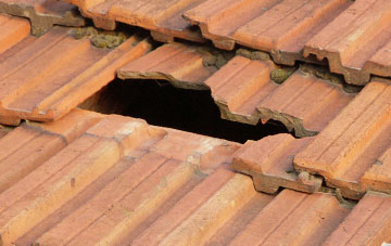 roof repair Up Cerne, Dorset