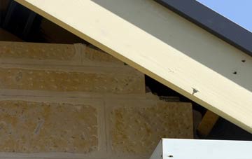 soffit repair Up Cerne